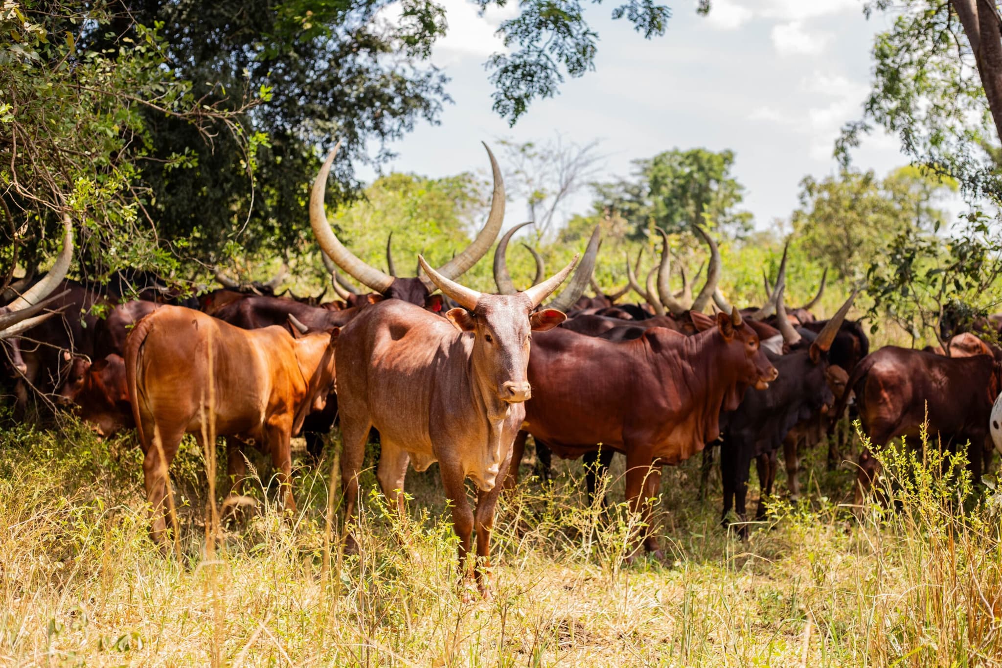 Farm tourism facilities